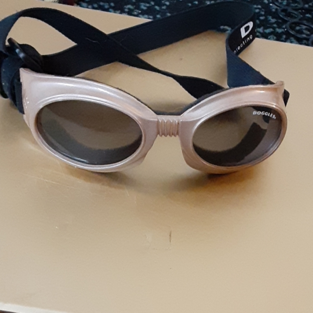Goggles for your dog